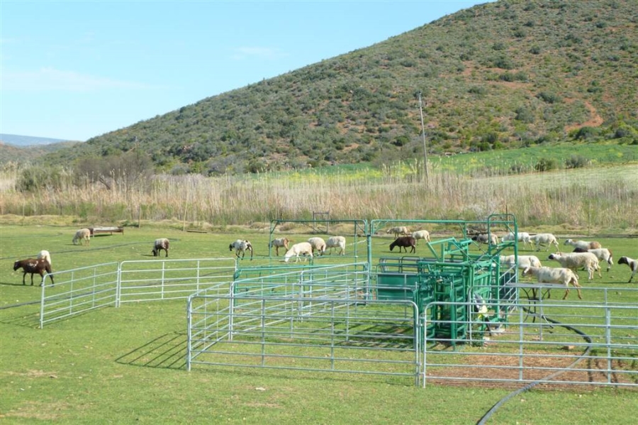 10 Bedroom Property for Sale in Ladismith Rural Western Cape